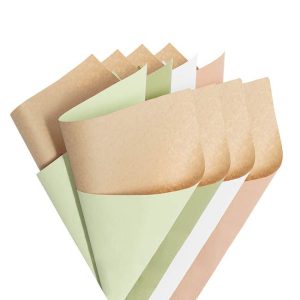 Plain Kraft Paper